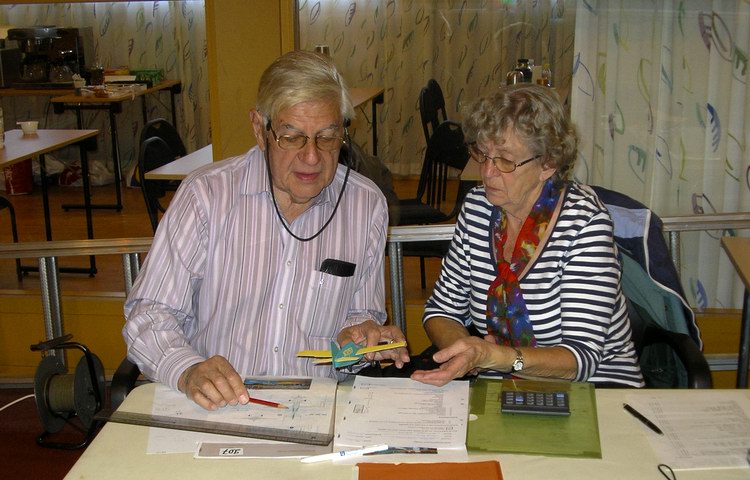 Peanut scale judging